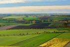 fields-5788653_1920_pixabay_Fritz_the_Cat.jpg