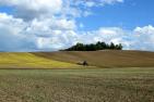 JA_aber_unterstes_Viertel_abschnieden_arable-1642639_1920_pixabay-Brockenhexe.jpg