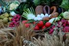 harvest-4498536_1920_pixabay_moritz320.jpg