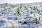 Trik_AdobeStock_klein_fuer_Website.PNG