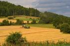 germany-7005121_pixabay_Erzgebirger_kl.jpg