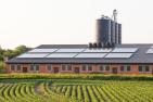 AdobeStock_182839463_Schweinestall_gekauft_adobestock_ChristianSchwier_kl.jpg