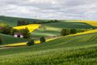 Agrikultur Felder 
