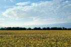 germany-5336618_1920_pixabay_winklerchristopher.jpg