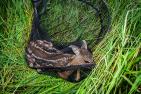 AdobeStock_608699748_Countrypixel_kl.jpg