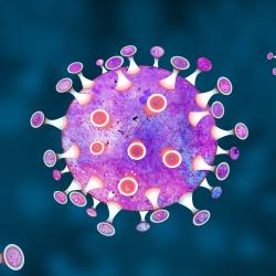 Virus