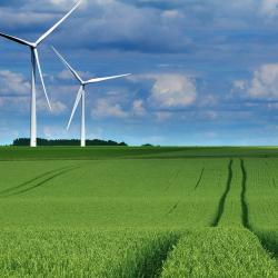 Windräder auf Feld