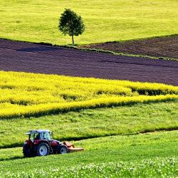 Agrikultur Feldarbeit