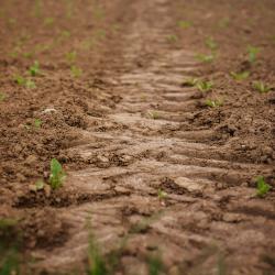 Boden Pixabay DarkmoonArt