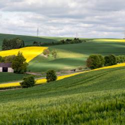 Agrikultur Felder 