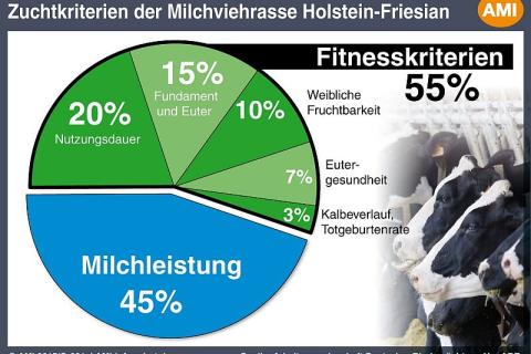 Grafik12.jpg