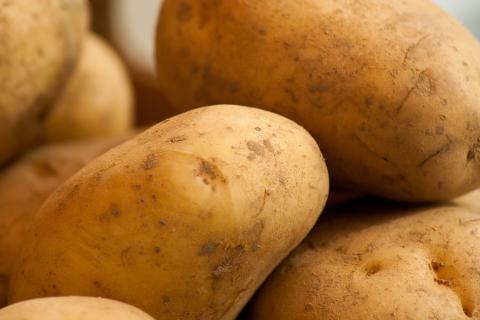 vegetables-1707600_jackmac34_pixabay