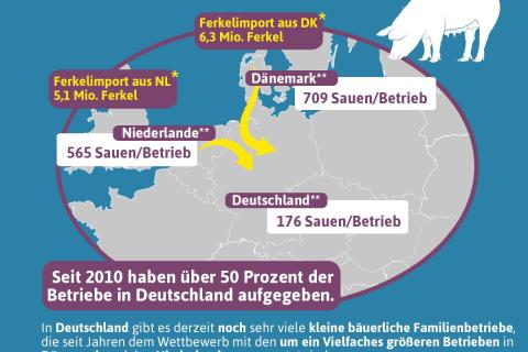 Sauenhaltung-im-europaeischen-Wettbewerb_Fechler_Kruesken_v2.jpg