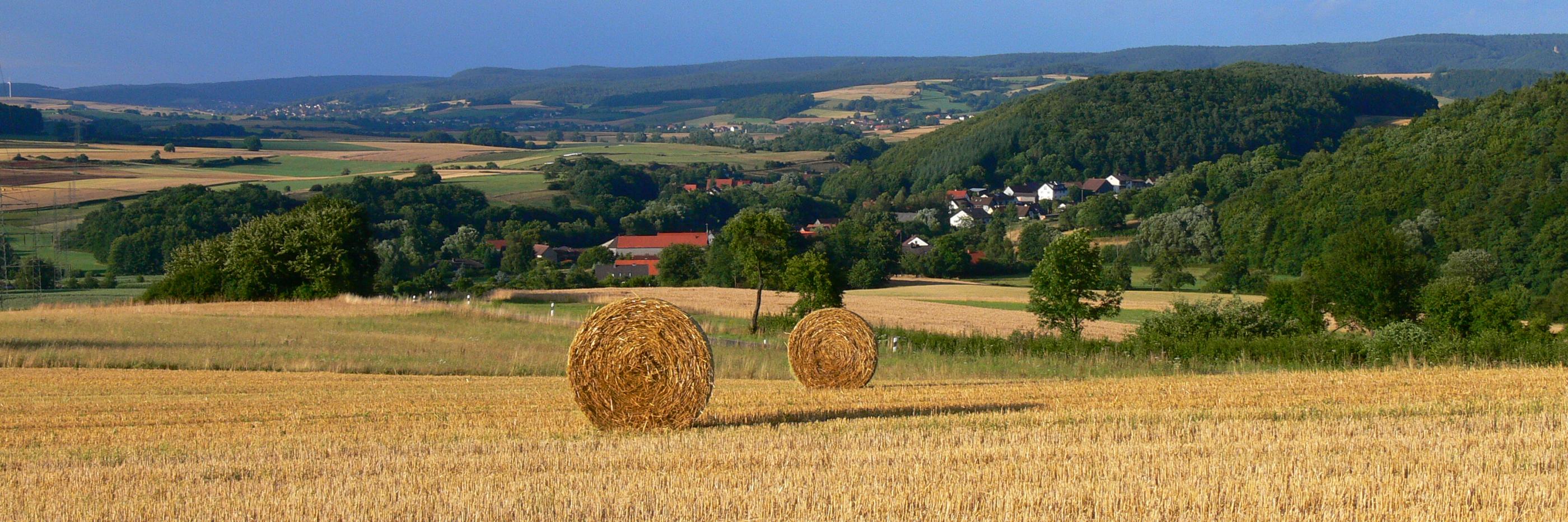Anliegen des Bauernverbandes zur Herbst-Agrarministerkonferenz