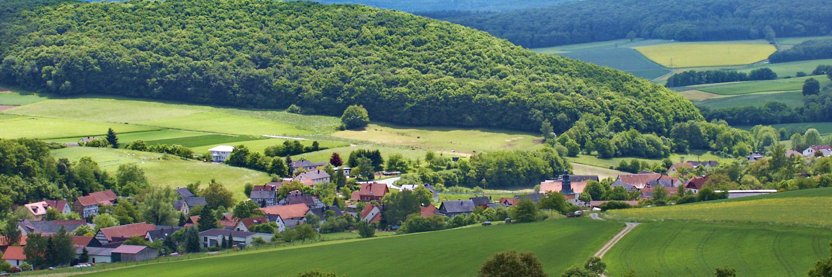 Bauernverband fordert klare Signale von EU-Agrarministerrat