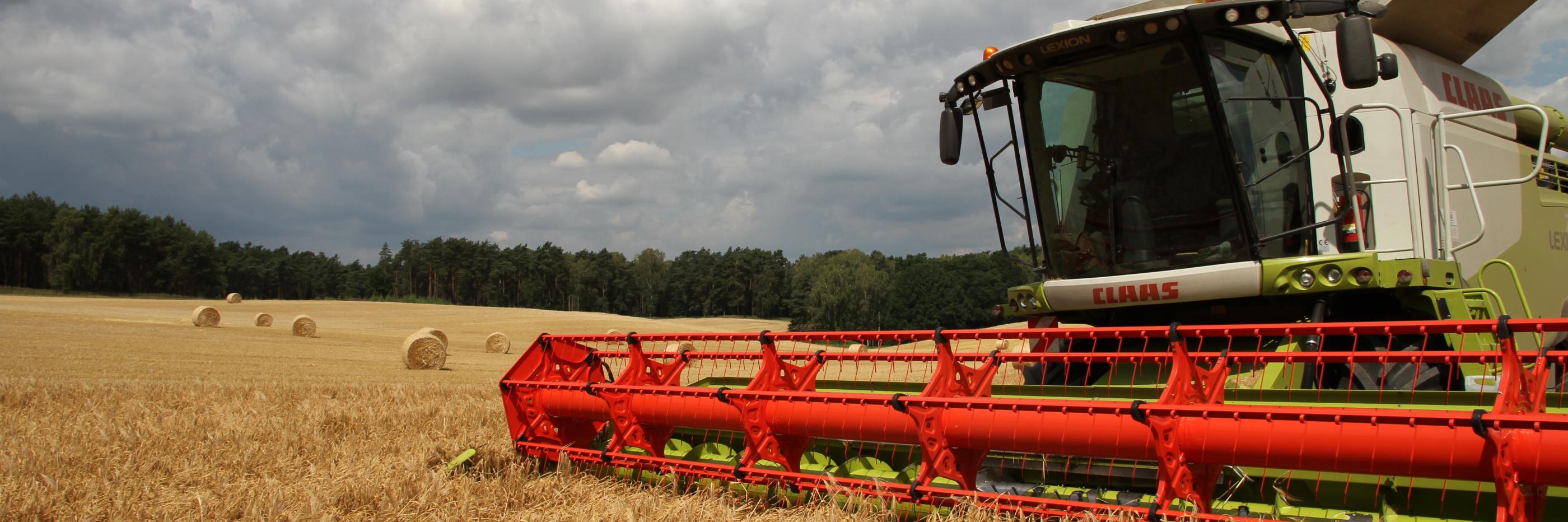 Wirtschaftlicher Druck auf Landwirtschaft steigt wegen niedrigeren Erträgen