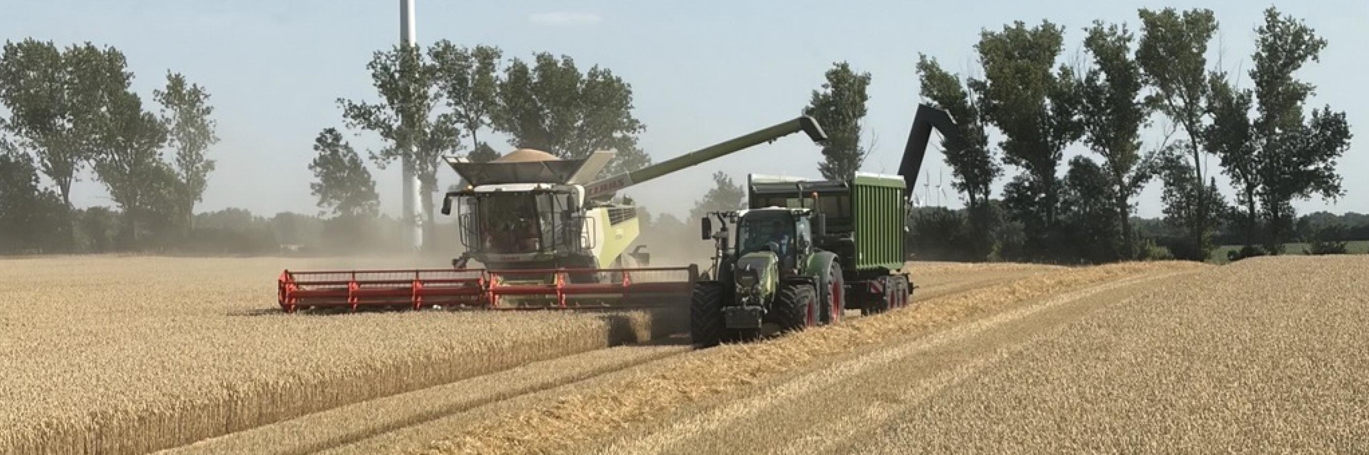 Vor Agrarrat: DBV lehnt Kürzungen bei der Ernährungssicherheit ab