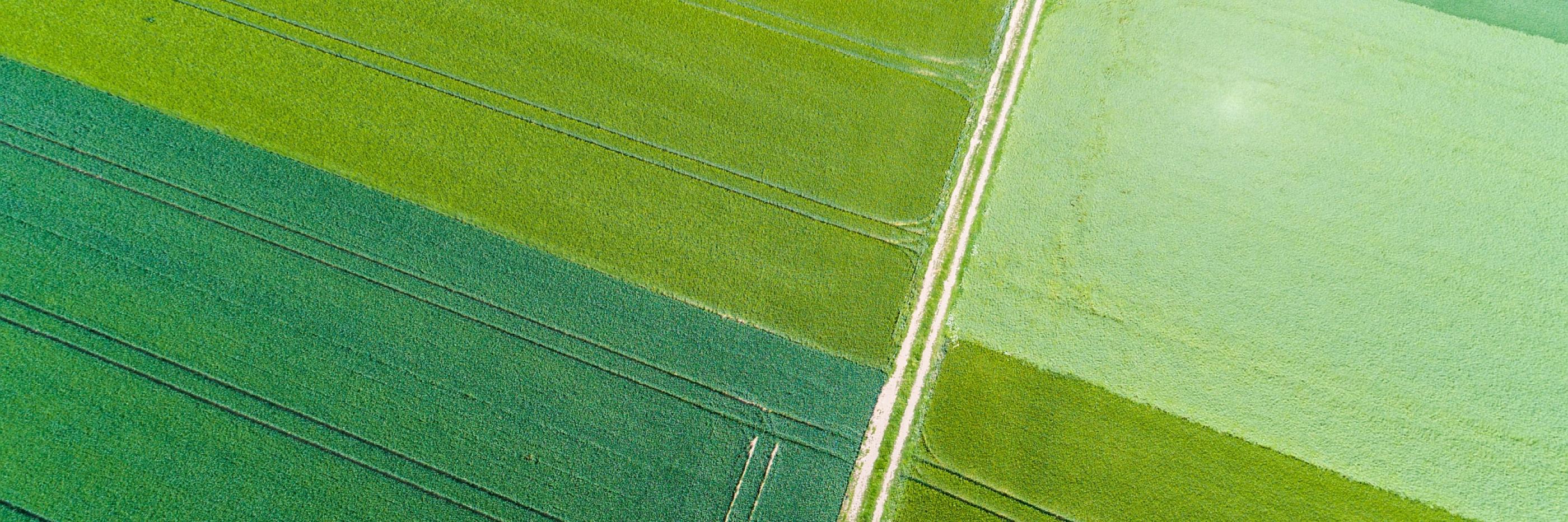 G7-Bauernverbände fordern verlässliche Rahmenbedingungen für Landwirtschaft und Ernährungssicherheit