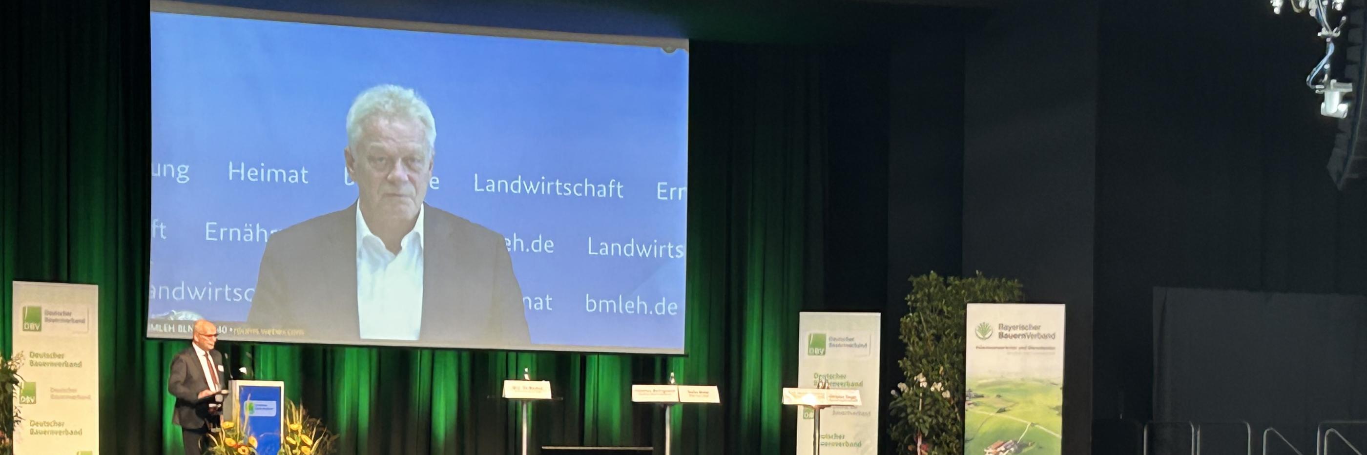 Schweinehaltung in der Krise – Welche Zukunftswege gibt es?