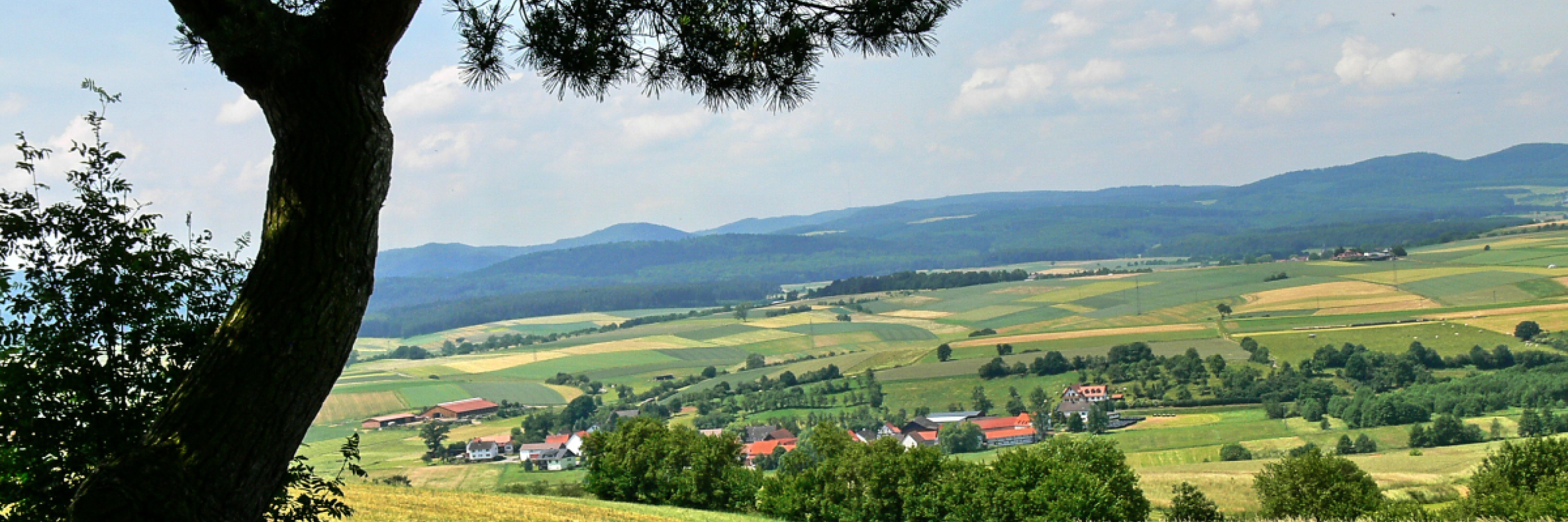 Wirtschaftliche Entwicklung in den Regionen nachhaltig fördern