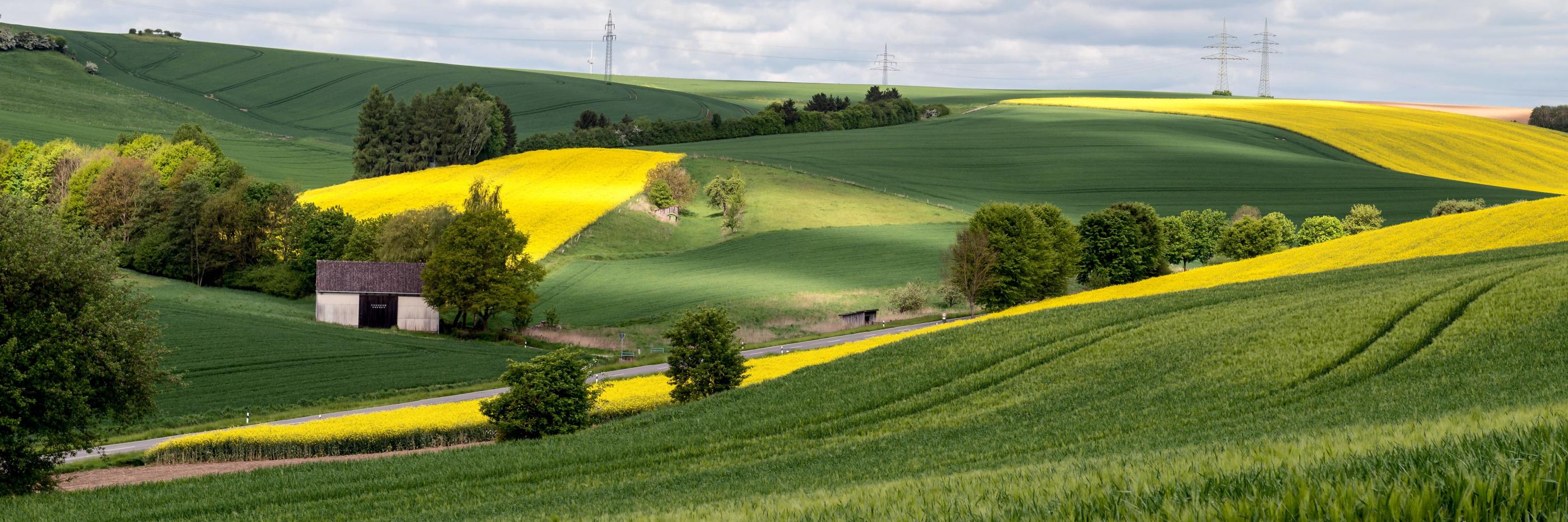 Haushaltsentwurf 2027: Kürzungsprogramm für Landwirtschaft und ländliche Räume