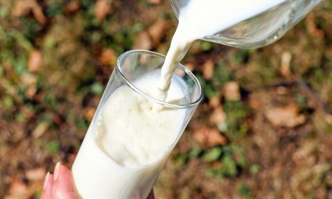 Milchglas wird gefüllt