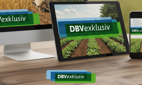 DBVexklusiv