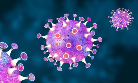 Virus