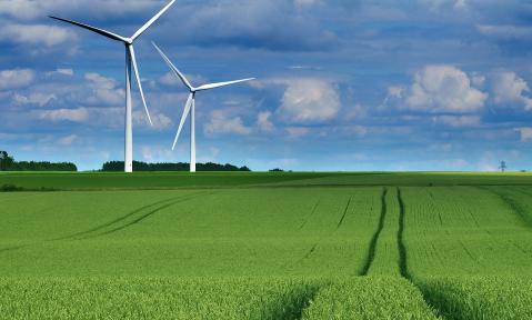 Windräder auf Feld