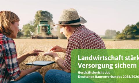 Geschäftsbericht 2025/26