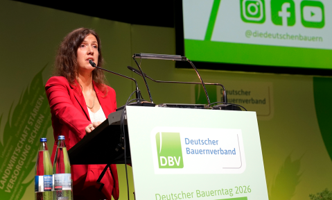 Stefanie Sabet Freiburger Erklärung
