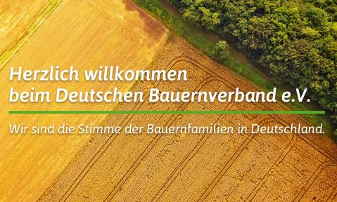 Einstiegsbild DBV