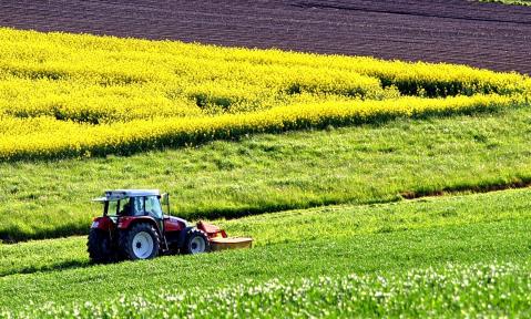Agrikultur Feldarbeit