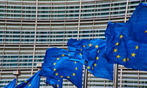 Europaflaggen vor dem Parlament