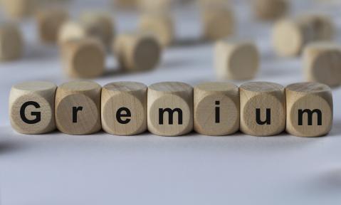 Holzwürfel die das Wort Gremium formen