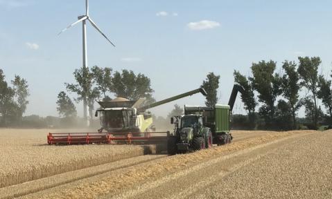 Mähdrescher mit Traktor bei der Weizenernte auf dem Feld
