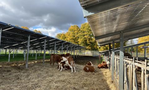 Agri-PV