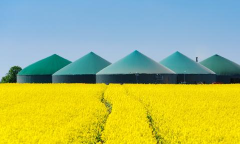 Biogas