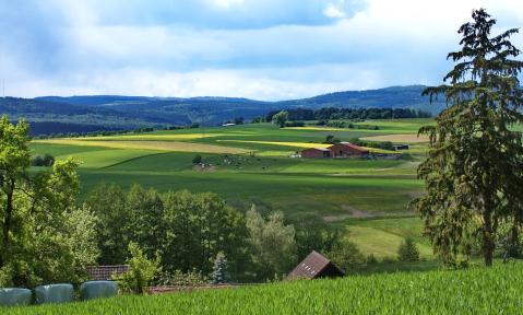 Landschaft