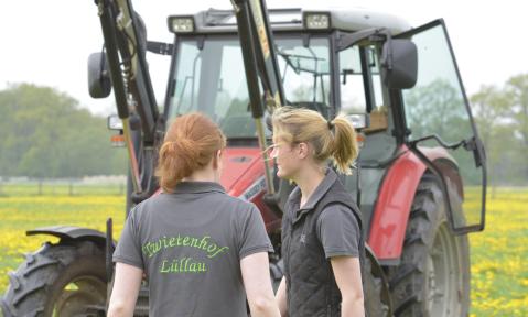  Ausbildung