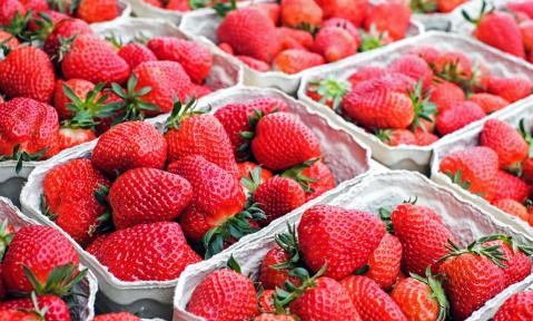 A5_strawberries-1350482_c_Couleur_pixabay.jpg