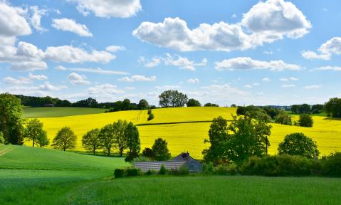 landscape-3369304_RitaE_pixabay.jpg