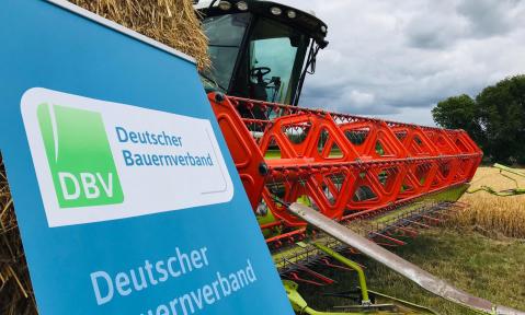 2019-07-03_Deutsche_Getreideertne_c_DBV.JPG