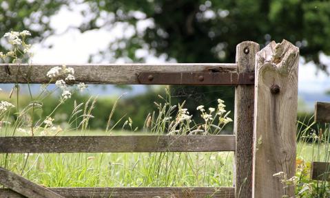 farm-gate-1591383_c_Kevsphotos_pixabay.jpg
