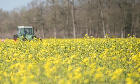 field-4133940_c_Ehrecke_pixabay.jpg