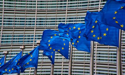 4610_brussels-4056171_NakNakNak_pixabay.jpg