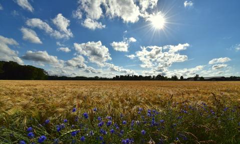 landscape-4320380_1920_pixabay-HelgaKa.jpg