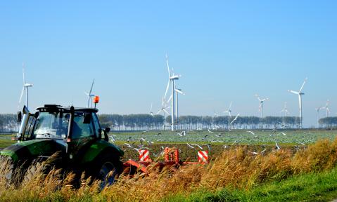 5104_northern-germany-4521259_c_neelam279_Pixabay.jpg