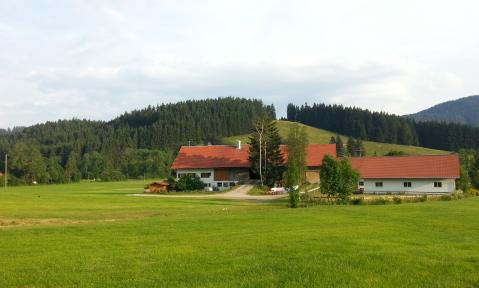 20130718_192530.jpg