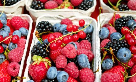 berries-1546125_c_Couleur_pixabay.jpg